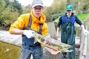 LETTER: Put an end to fish farms, now