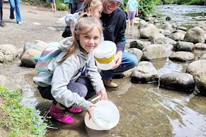 Father's Day fish release this Sunday in Maple Ridge