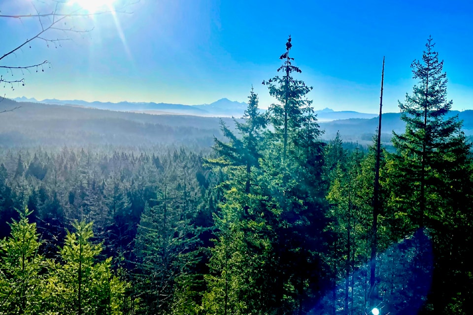 On a spring-like Saturday, local outdoor enthusiast Ron Paley and friends headed to Golden Ears Provincial Park for an early morning hike. The trip took them up the Main Corral Trail to the Lookout, then back down the Alouette Valley Trail, offering them some spectacular views.