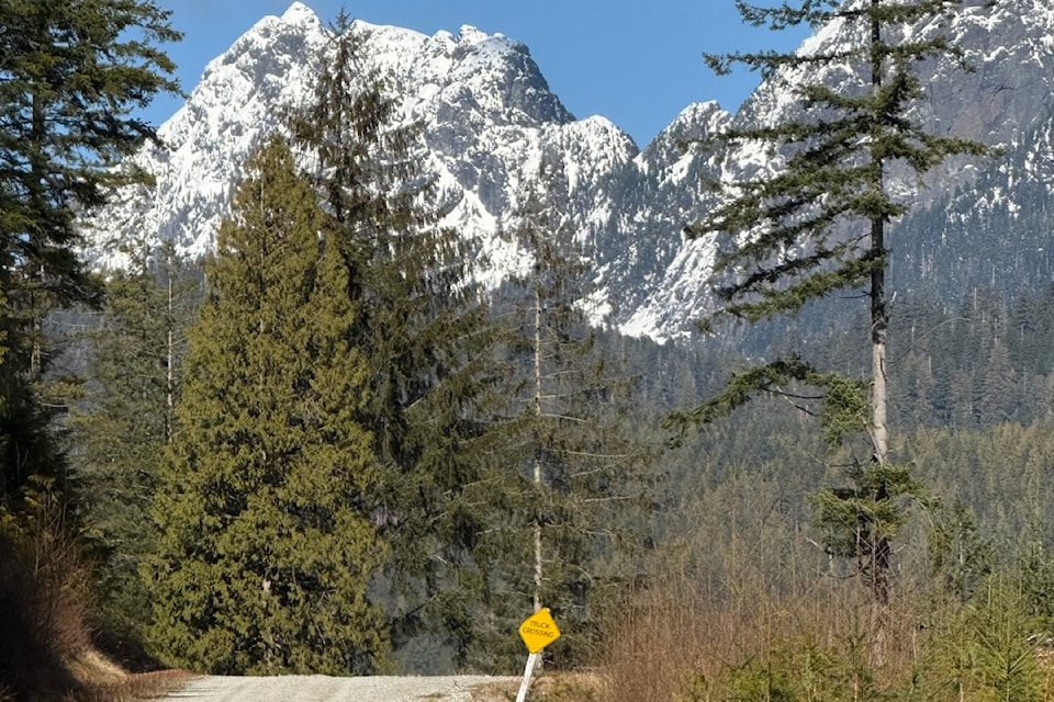 During a recent visit to UBC's Malcolm Knapp Research Forest, Doug Cook was able to grab this photo of the nearby mountain scape as visible from the forestry service road.