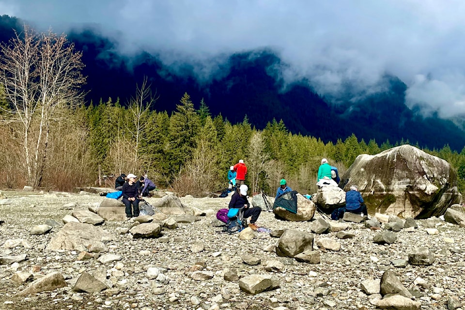 Fourteen "hardy" members of the Ridge Meadows Outdoor Club hiked a section of Golden Ears Provincial Park – from the Main Corral to the Alouette Valley Trail, and eventually to Menzies Trail, then back down to the beach at Alouette Lake for lunch last Wednesday. "We had rain off and on, but the temperature was perfect for hiking," said photographer Ron Paley.