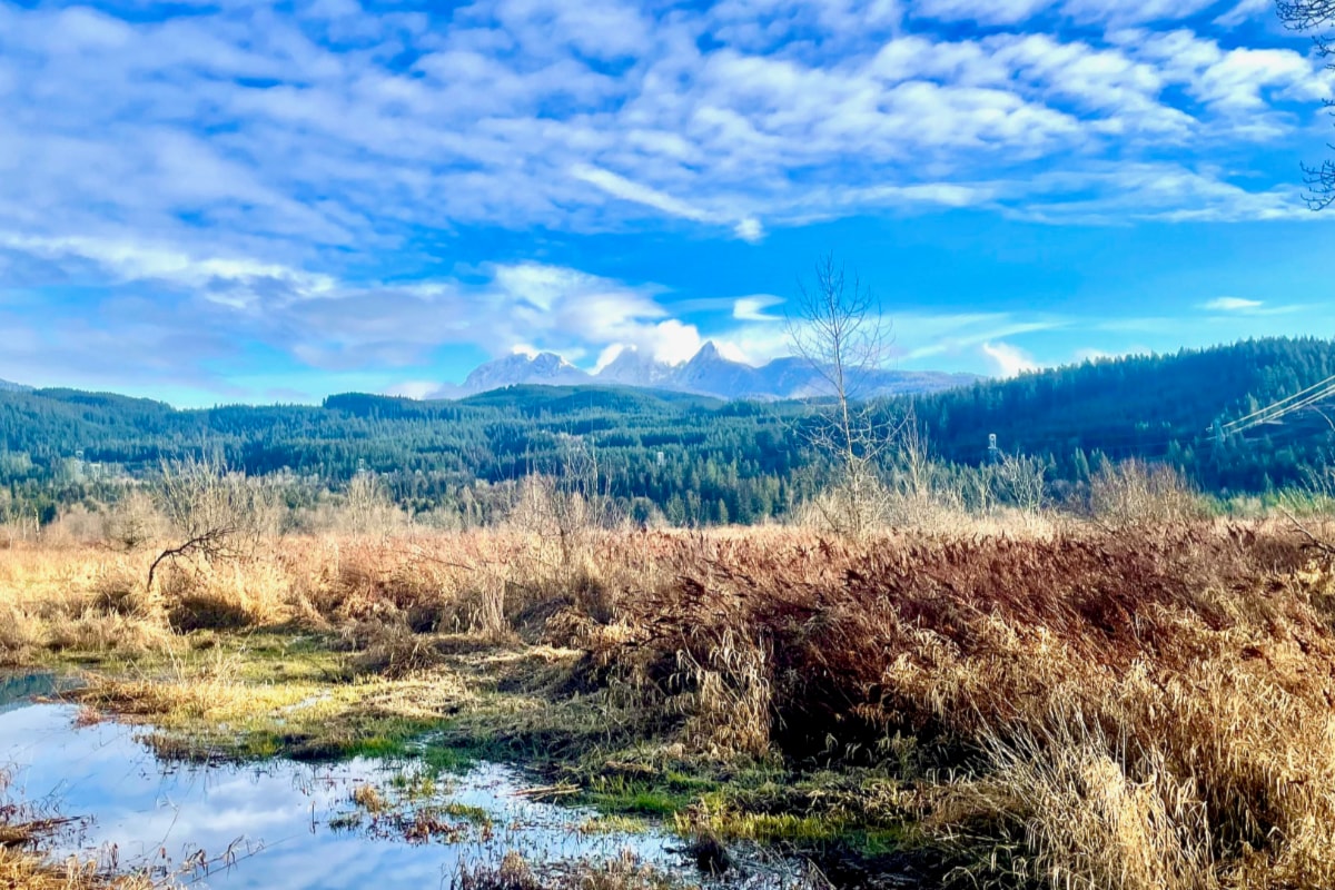 SHARE: Perfect weather to explore