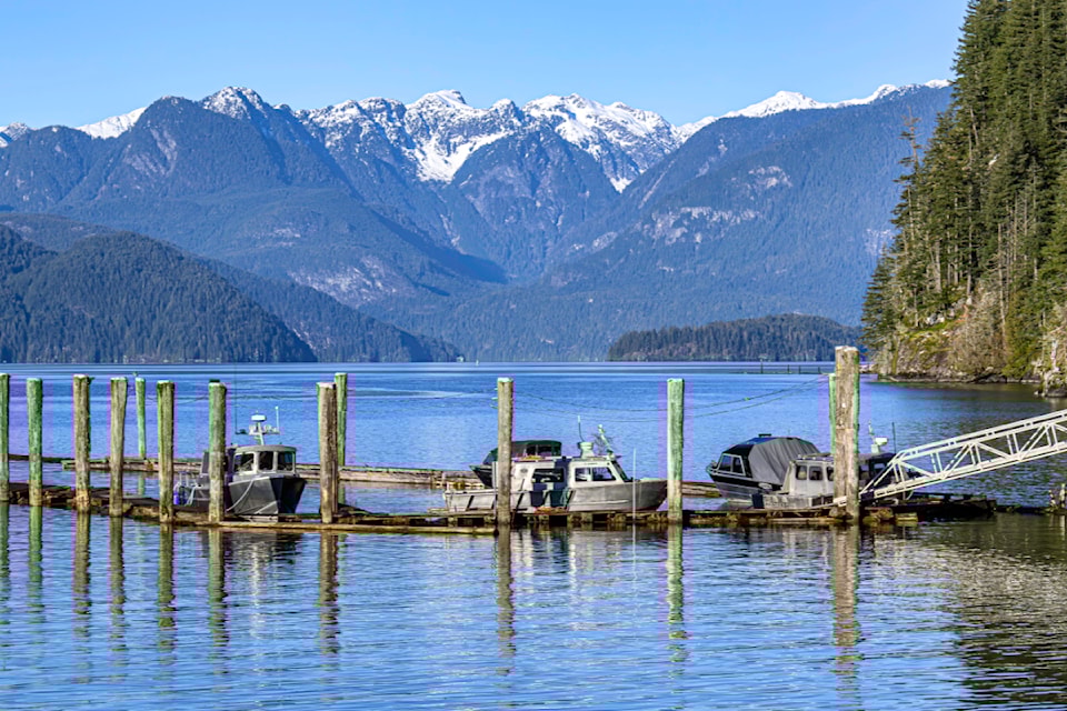 Joseph Bartalis shared a picture looking up Pitt Lake from Swan Dike Trail, where Grant Narrows meets the tidal lake.
