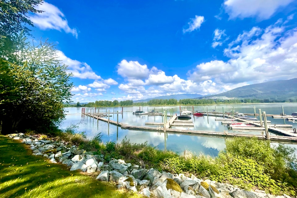 A near 30-kilometre cycle around Maple Ridge and Pitt Meadows this past week revealed varying terrains, but equally stunning, scenery for Maple Ridge outdoors enthusiast Ron Paley.