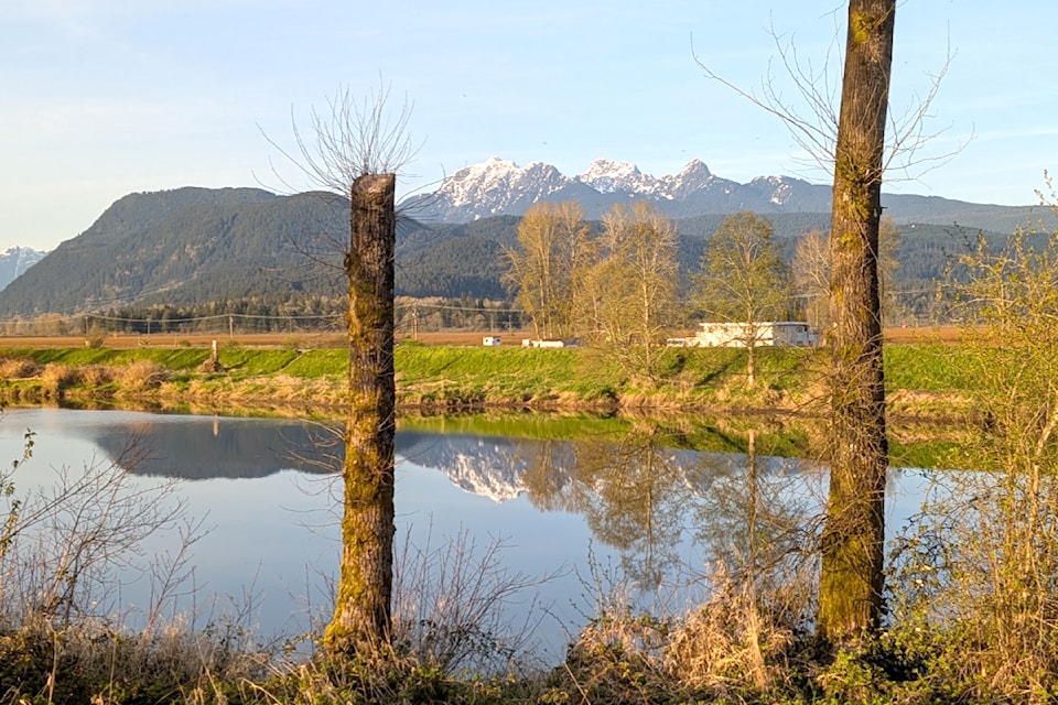 250516-mrn-rh-lens-snatinskidikes1