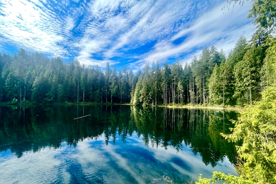 It was a great day, temperature wise, for 26 members of the Ridge Meadows Outdoor Club to hike from the UBC's Malcolm Knapp Research Forest up to Goose Lake and beyond last Monday. Member Ron Paley shared a few pictures of the scenery he snapped during their trek.