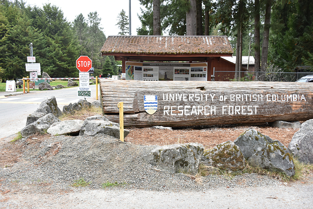 Maple Ridge's research forest receives national accolades
