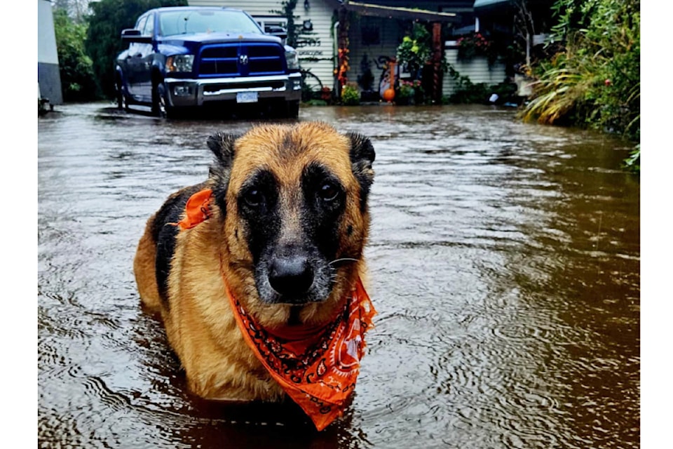 241019-mrn-ke-roadsclosedflood7