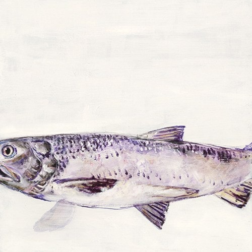 Portrait of a River: Salmon by Robi Smith. Acrylic on wood panel, 12 x 12”