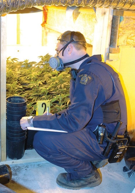 45345mapleridgeweb-officermask-plantsVC
