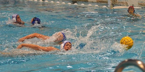 49455mapleridgewaterpolo