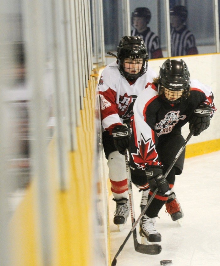 69498mapleridgehockey01231cweb