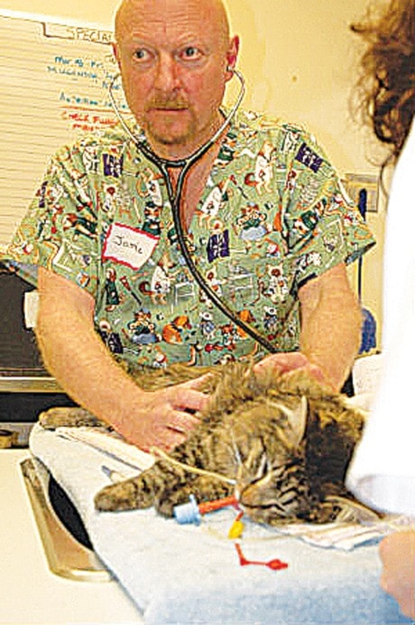 7276mapleridgepets-feralcat
