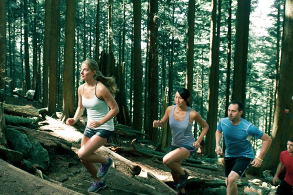 Grouse Grind reopens for the summer Maple RidgePitt Meadows News