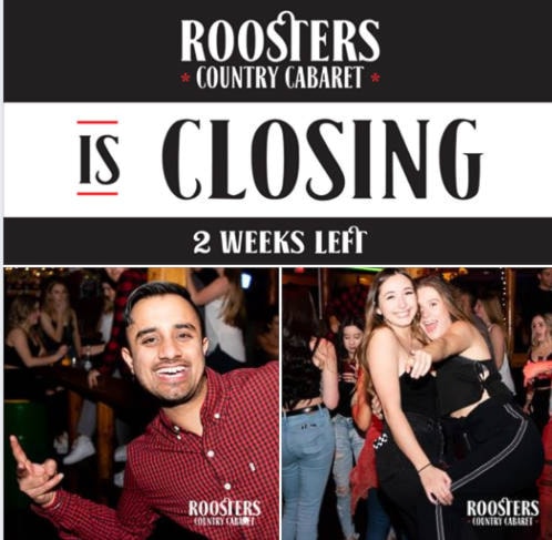 15087839_web1_newroosters