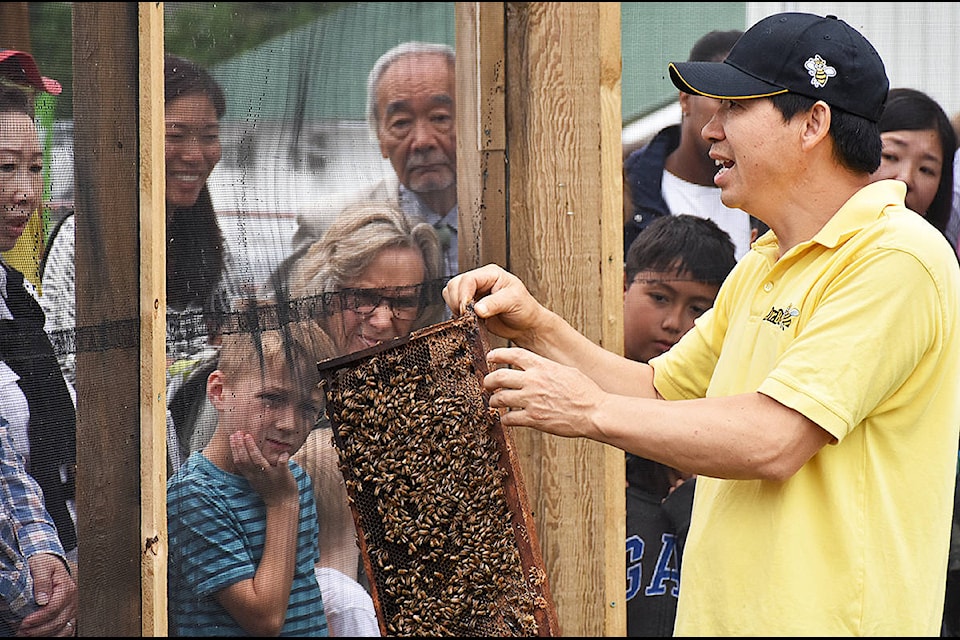 Dr. Bee Honeyland in Pitt Meadows held its eighth annual Bees and Blueberries Festival on the weekend, with educational displays about bees and honey production, and fun events for kids. (Neil Corbett/THE NEWS)