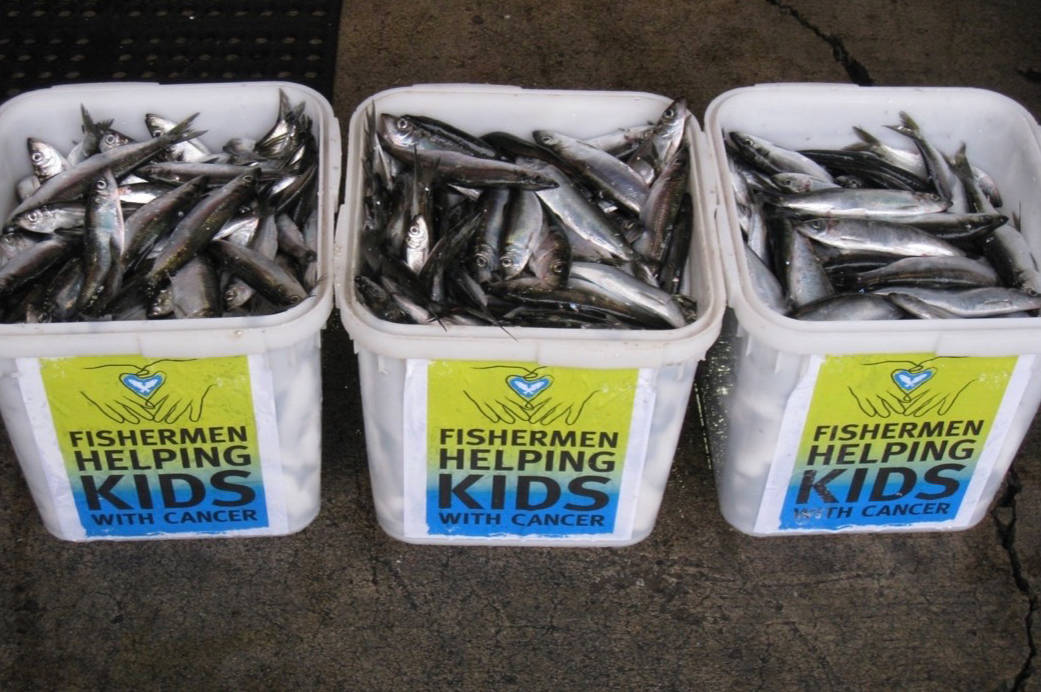 19558861_web1_191127-MRN-M-Fresh-Herring