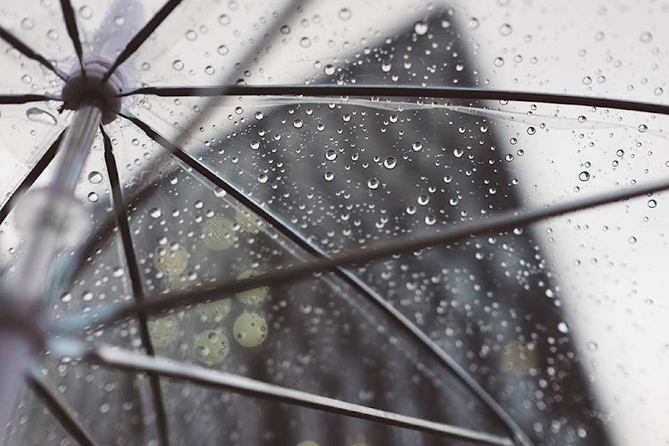 20815325_web1_Langley-Rain-Umbrella-Weather