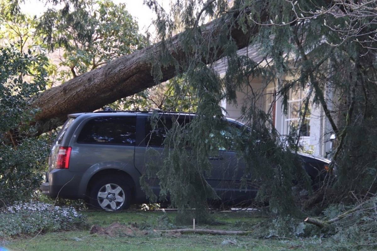 20940430_web1_200318-MRN-CF-windstorm-Maple-Ridge_3