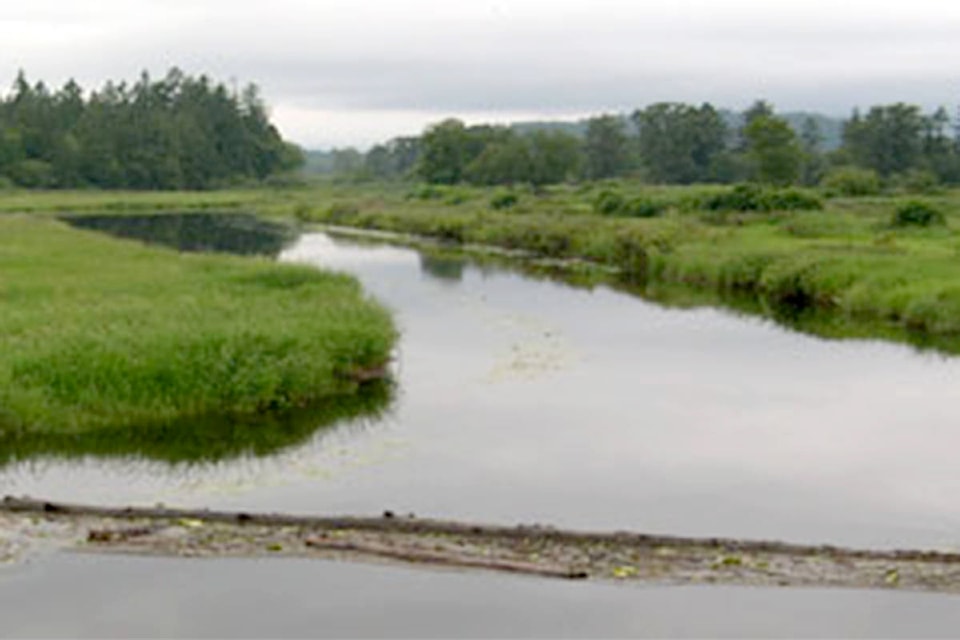 22019316_web1_200702-MRN-CarbonFootprint-Wetlands_1