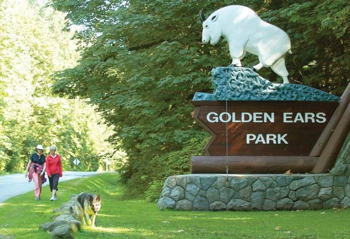 22207830_web1_goldenearspark