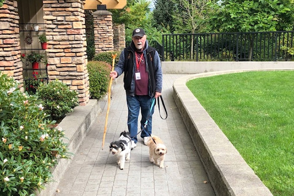 Maple Ridge resident Bob Russell walks six-year-old Cooper and four-year-old Ellie, two Shih Tzu, Papillon cross pups every Monday to help Anne Burgess-Clark who signed up for support with her dogs through ElderDog. (Christina Saremba/Special to The News)