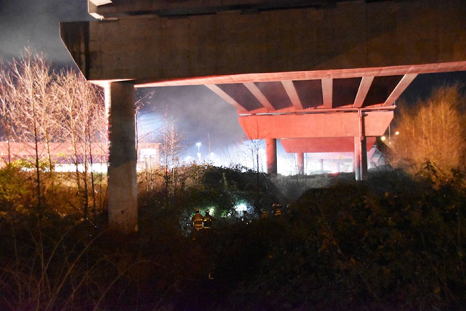 Numerous reports of a large fire under the Golden Ears Way viaduct were received on Thursday night. (Curtis Kreklau - South Fraser News Service)