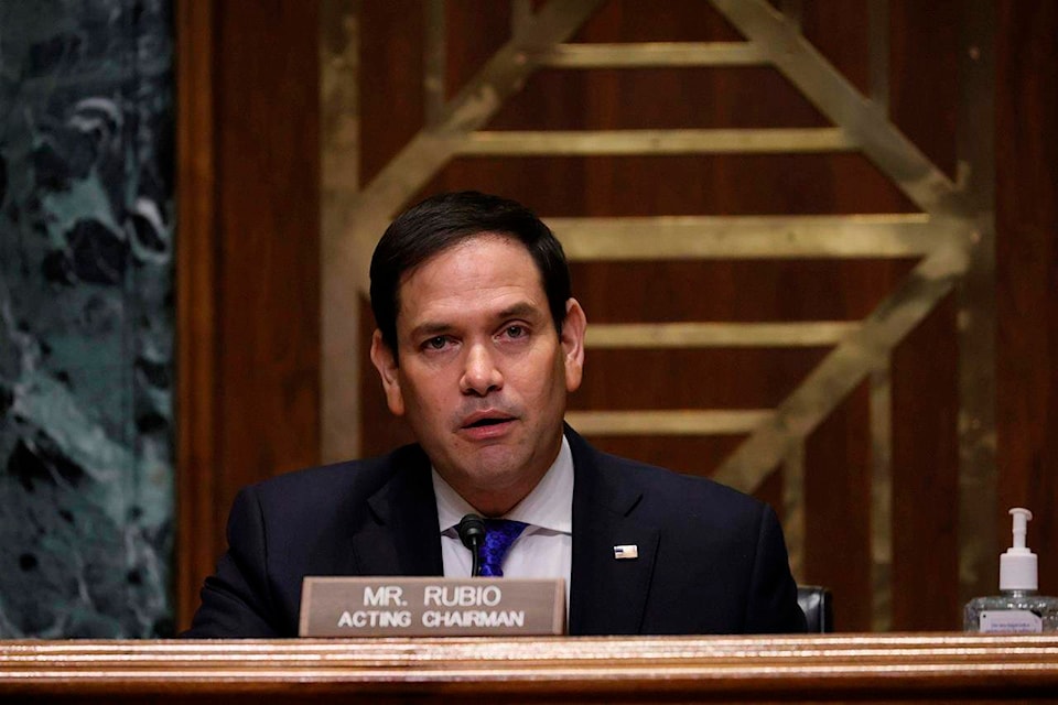 Sen. Marco Rubio, R-Fla., speaks during a confirmation hearing for President-elect Joe Biden‚Äôs pick for national intelligence director Avril Haines before the Senate intelligence committee on Tuesday, Jan. 19, 2021, in Washington. (Joe Raedle/Pool via AP)