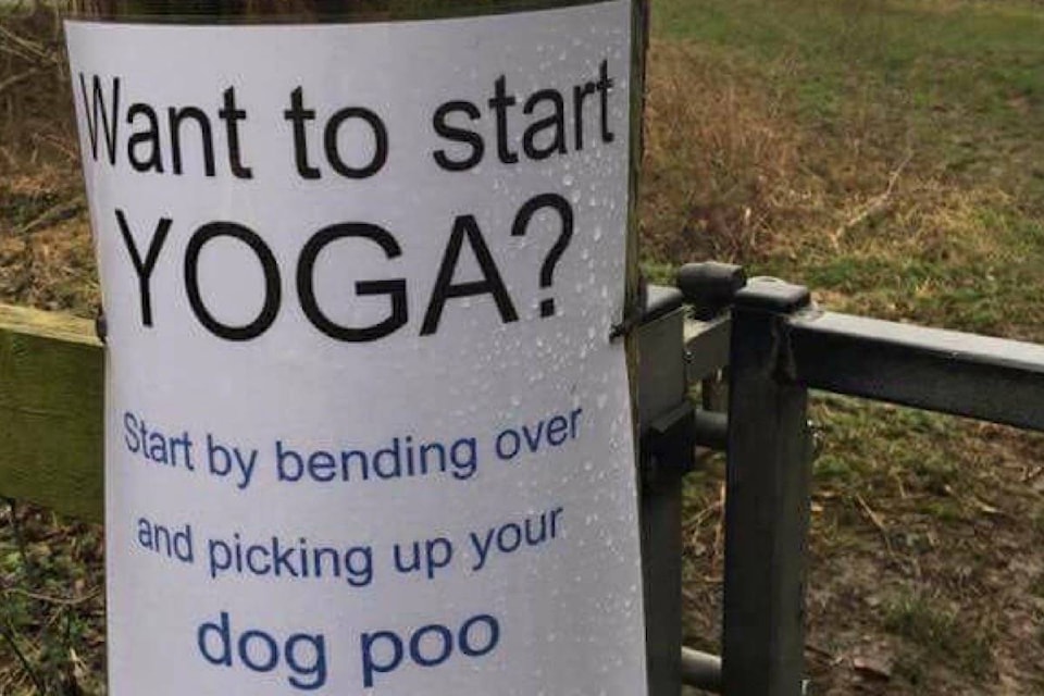 25233215_web1_180129-LAT-M-Dog-poop-sign-Yoga