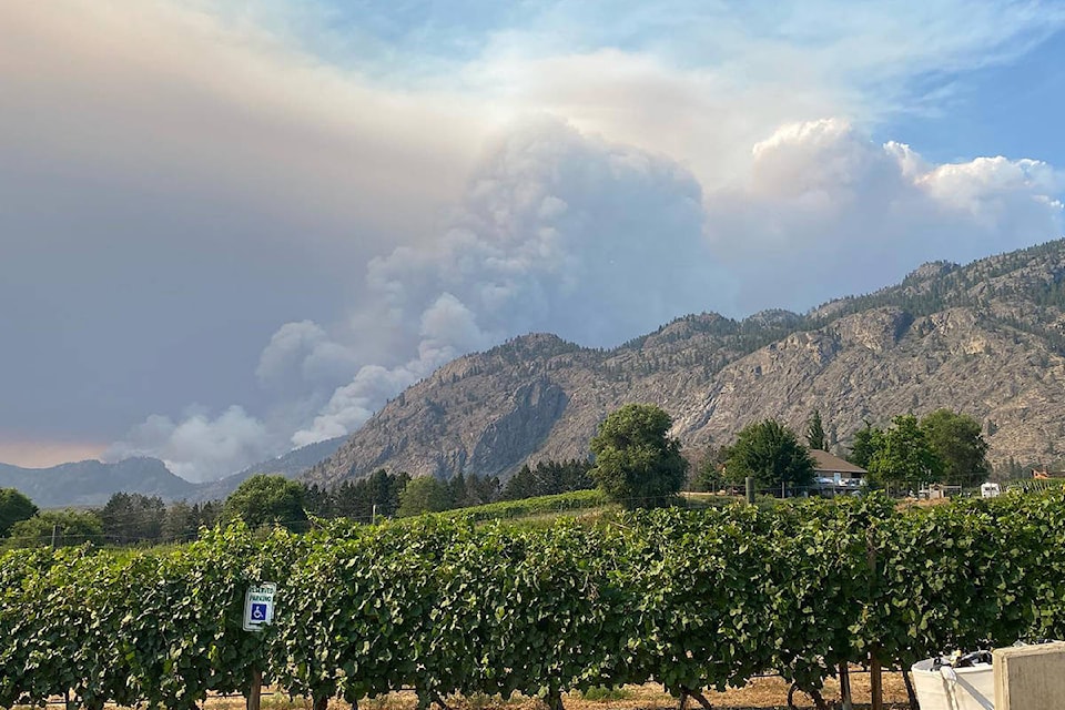 Adega’s winery on 45th in Osoyoos has closed until further notice due to the fast moving Inkaneep Creek wildfire. (Adega’s Facebook)