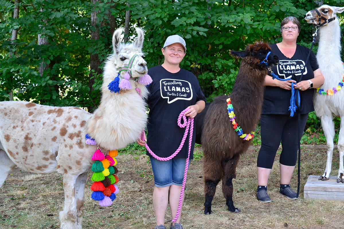 4H Spitters Club — % Llama Alpaca Hikes near me