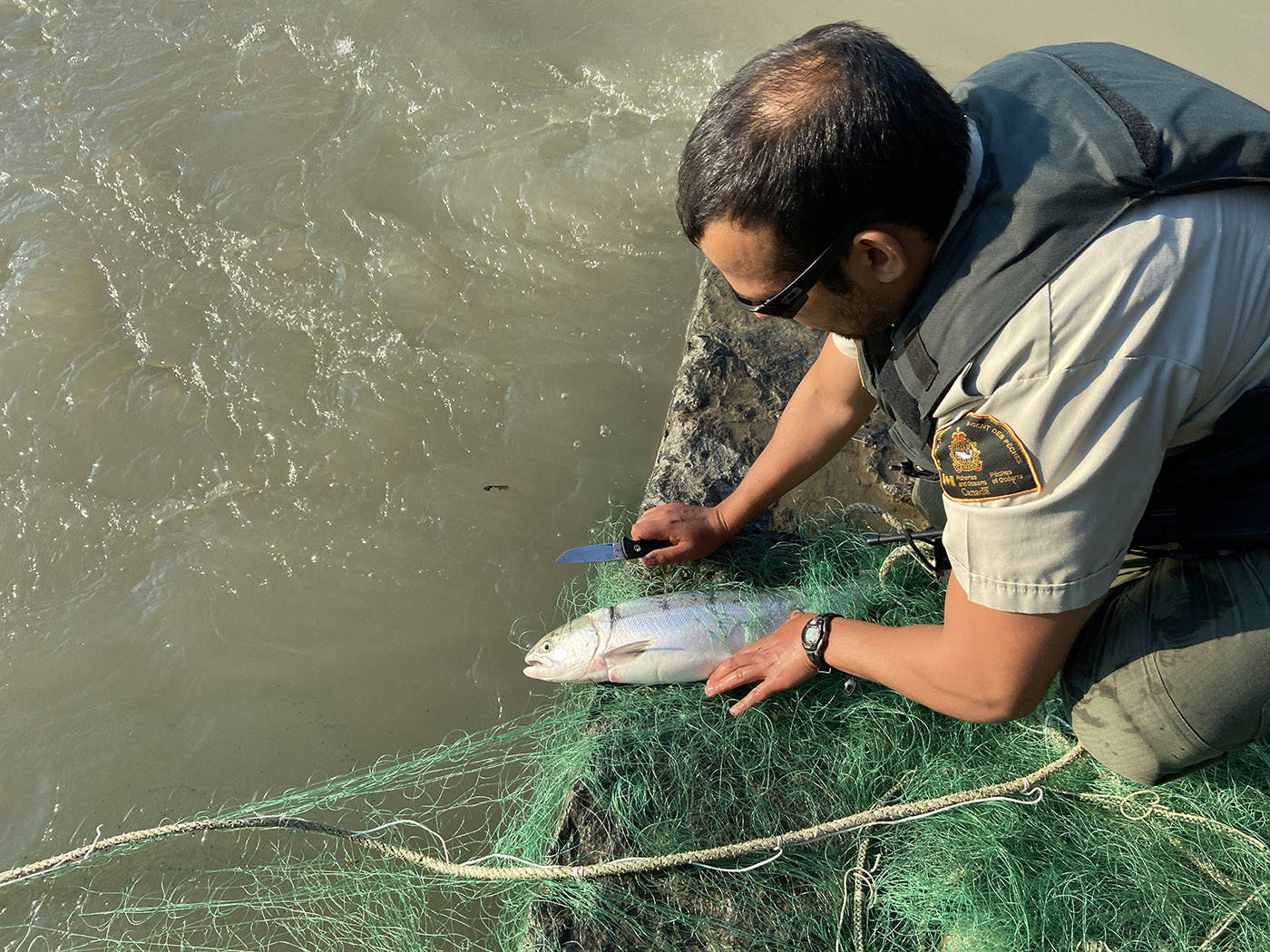More than 200 illegal fishing nets seized on Fraser River by