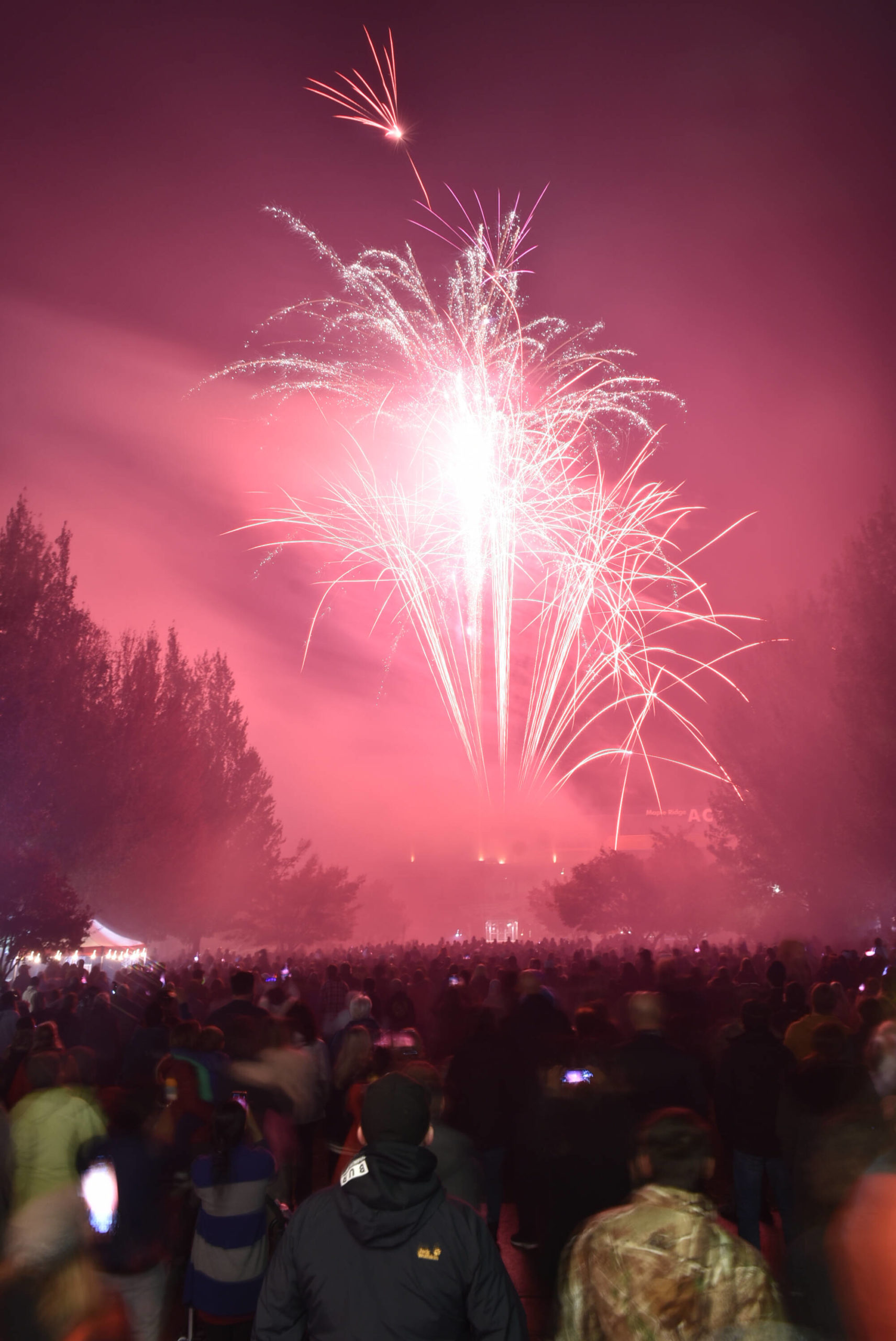 26925251_web1_211022-MRN-CF-Celebrate-the-Night-fireworks_9