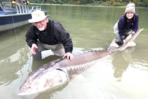 26947004_web1_211025-MRN-CF-big-fish-sturgeon_1