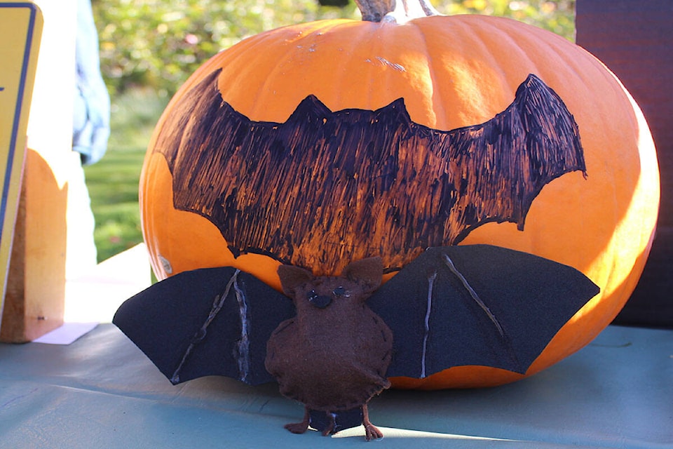 27019126_web1_211030-VNE-Nature-Conservancy-Bats-halloween_1