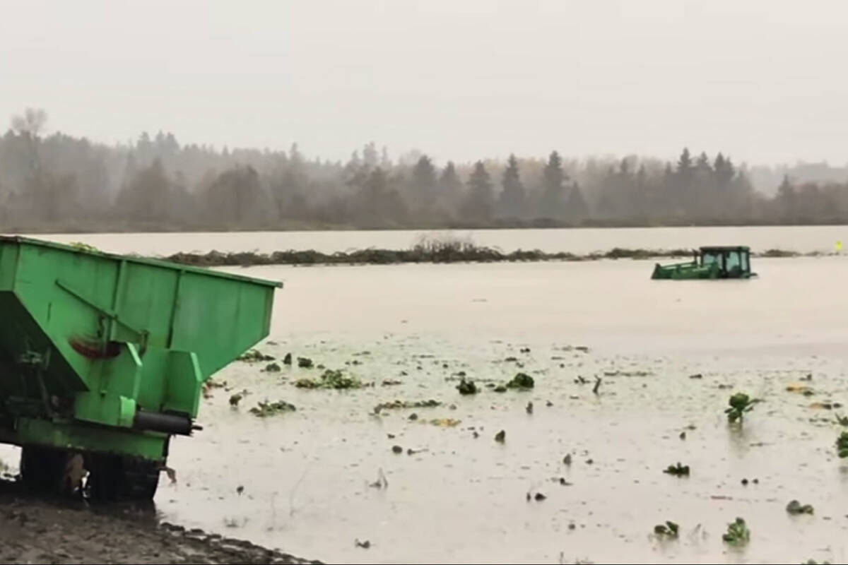 A tractor was half-submerged in a flooded field near Fort Langley (Matthew Claxton/Langley Advance Times)