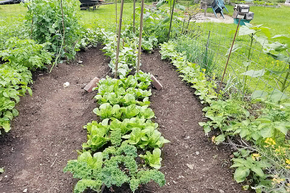 28685480_web1_220404-MRN-CF-The-Hive-garden-group_1