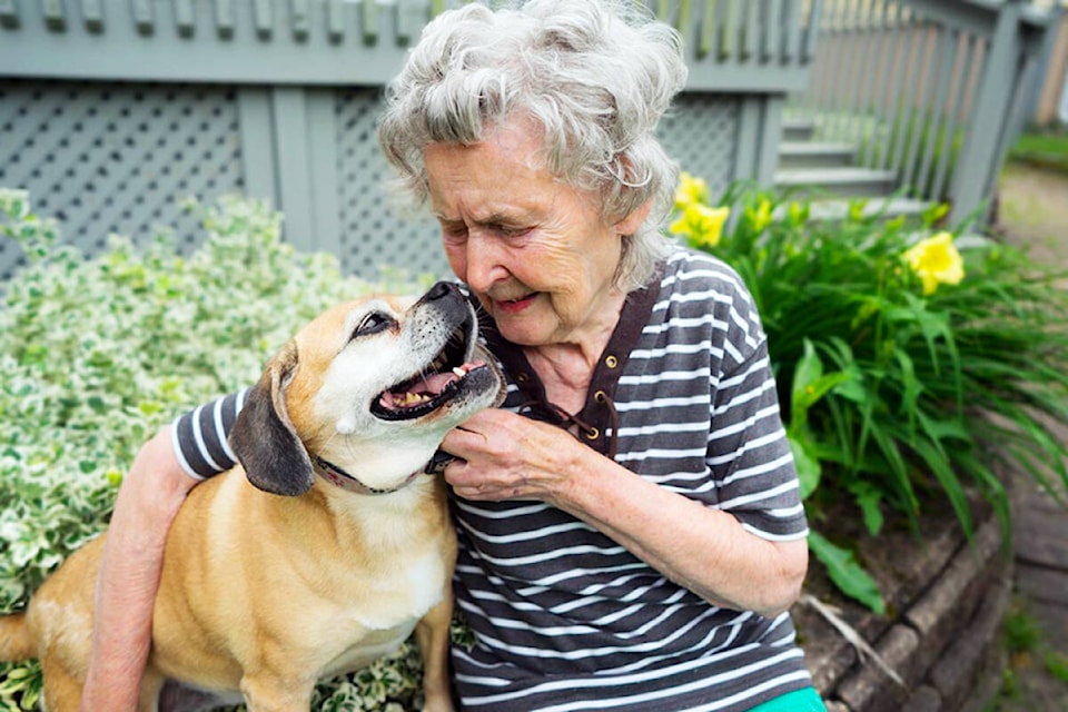 All PAWD volunteers are required to have an RCMP background check, including a working with vulnerable individuals check. (Ridge Meadows PAWD Facebook/The News)