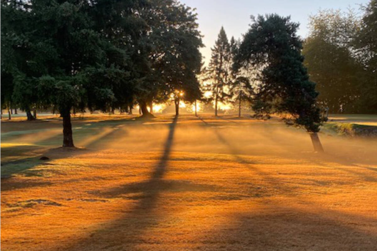 SHARE: Morning mist rising off the greens Maple Ridge Pitt Meadows News SHARE: Morning mist rising off the greens Maple Ridge Pitt Meadows News