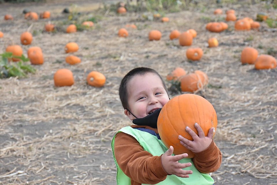 Kodiak James Adams, 3, picks out a pumpkin. (Colleen Flanagan/The News)