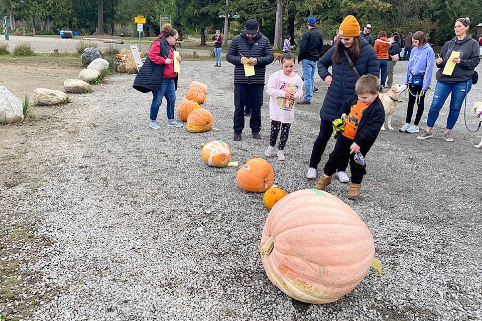 People examine pumpkins and try to guess their weight at the fourth annual Whonnock Giant Pumpkin Contest on Sunday. (Colleen Flanagan/The News)