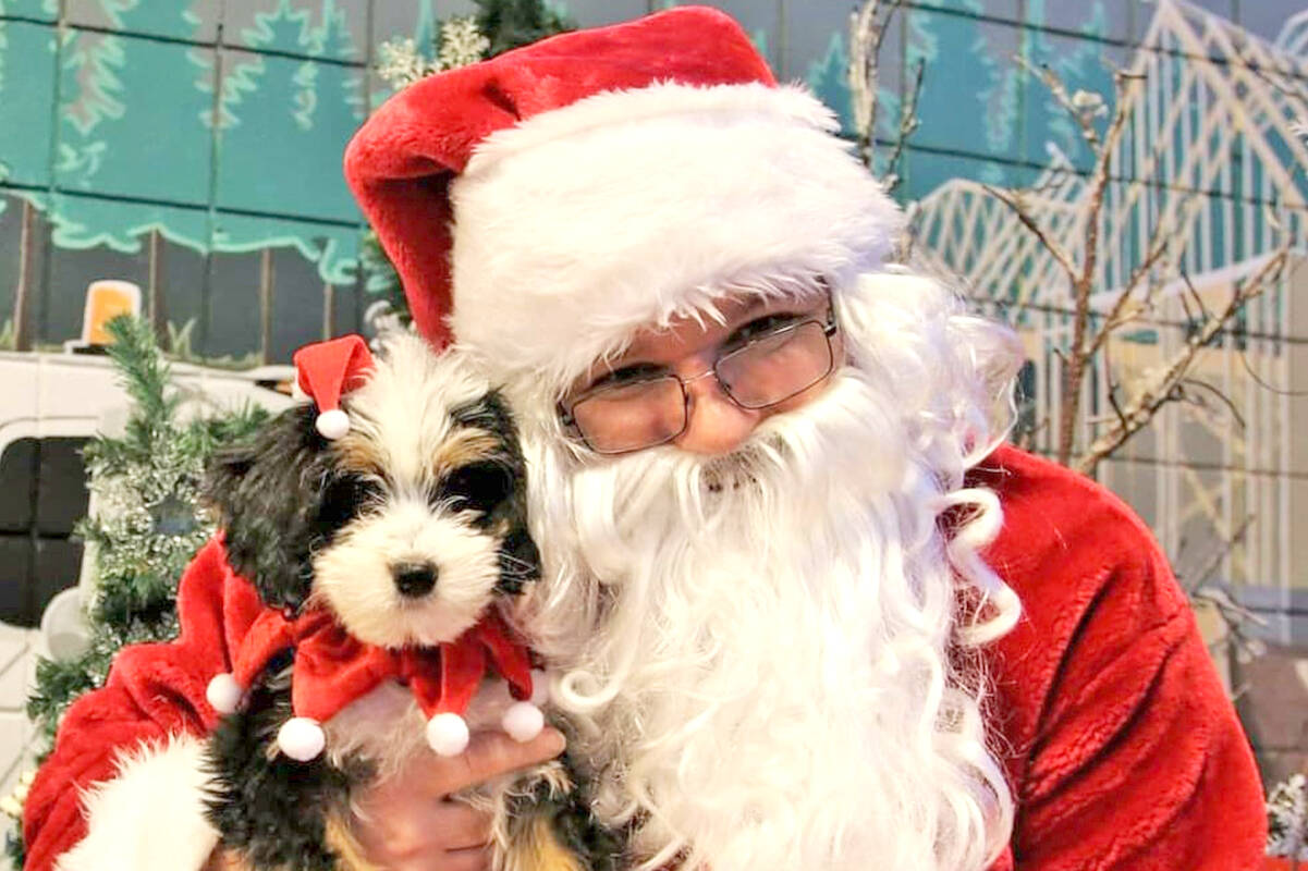 Pet supplies plus shop santa pictures 2018