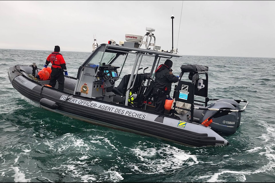 Hundreds of suspected illegal ghost crab traps seized in Boundary Bay by fisheries officers Maple Ridge Pitt Meadows News