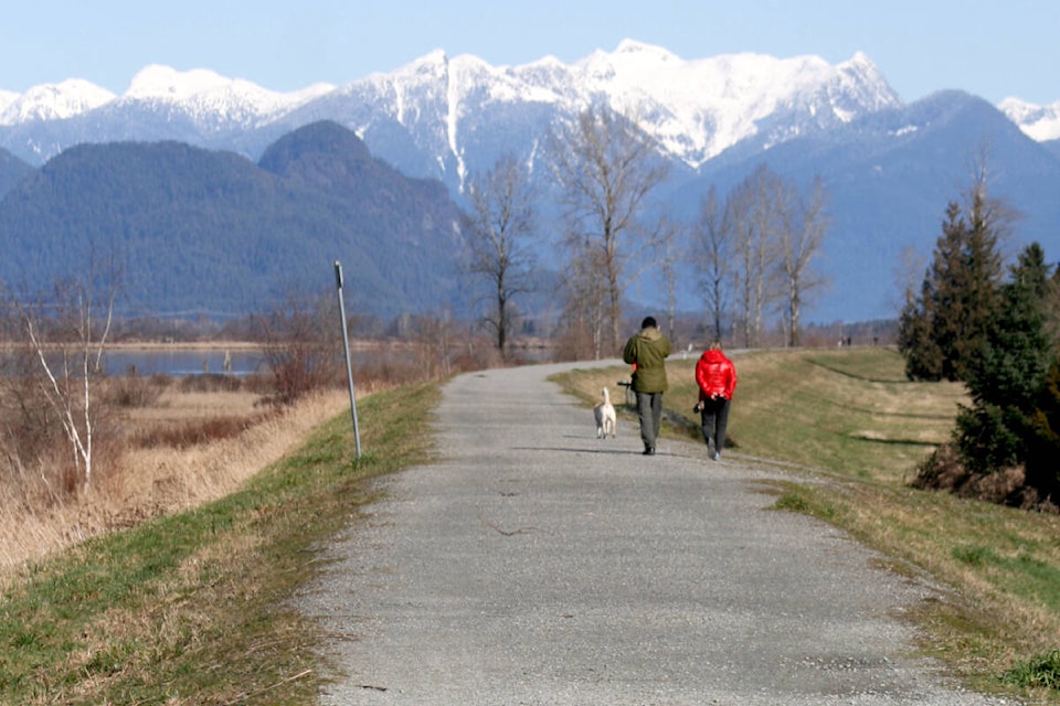 Ruth Healy shared a few of her favourite spots around Pitt Meadows with photos. It includes this one, featuring what the local resident describes as “gorgeous scenery on the dikes,” near the Pitt River Bridge – with Pitt River to her left. (Special to The News)