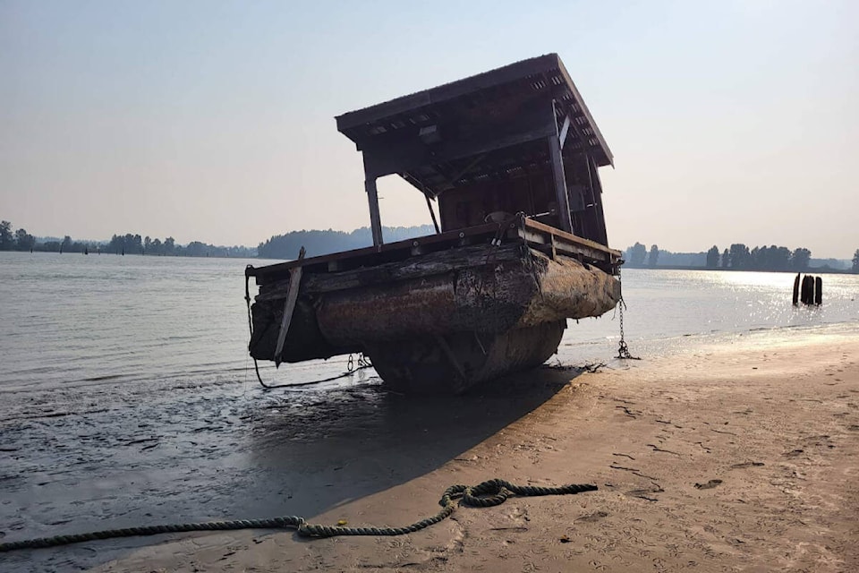 Maple Ridge’s Hailey Babb was captivated when she saw this vessel washed up on the beach in low tide along the Fraser River at the Katzie Reserve. (Special to The News)