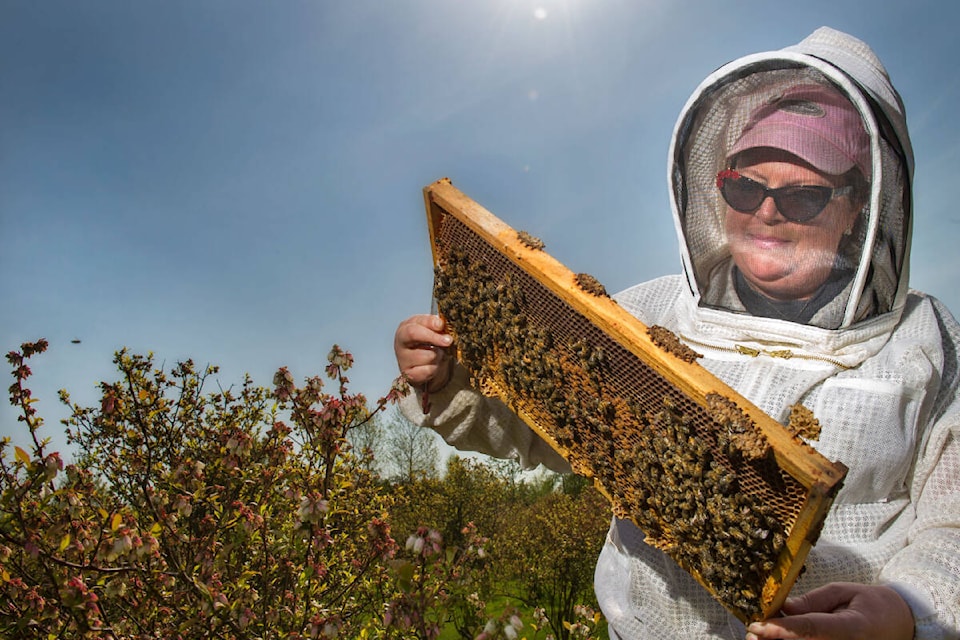 Amanda Goodman Lee of Swan Valley Honey in Creston (Maddy Prier photo)