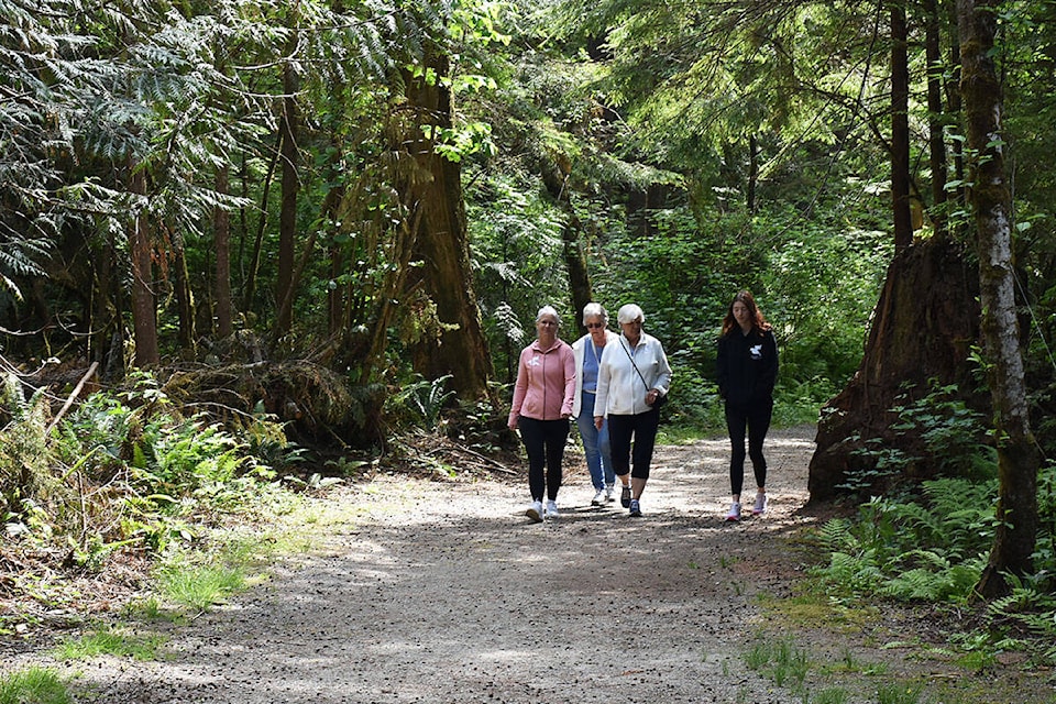 There is a short 1.3 km walk in the forest. (Neil Corbett/The News)