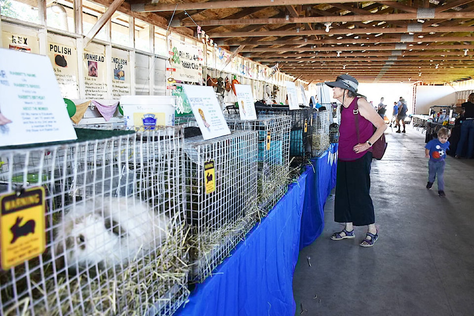 Seniors were able to tour the barns during a Country Fest sneak peek in 2023. (Colleen Flanagan/The News)