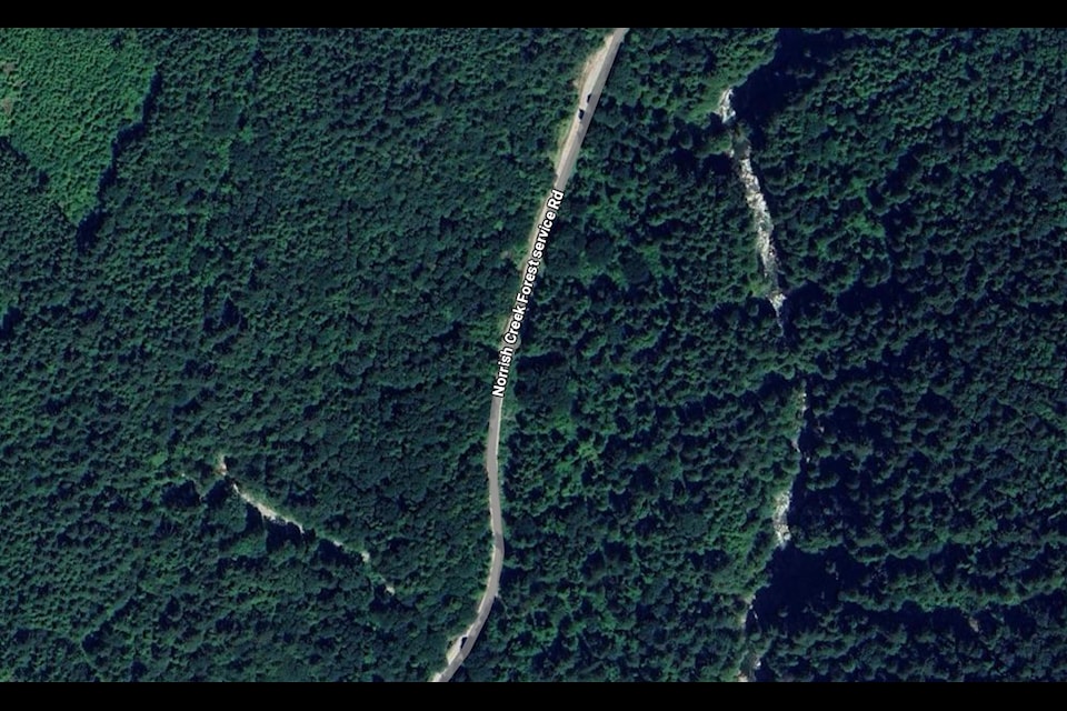 A Mission woman was found dead inside a vehicle at the bottom of a steep embankment off Norrish Creek Forest Service Road on Monday (July 8).