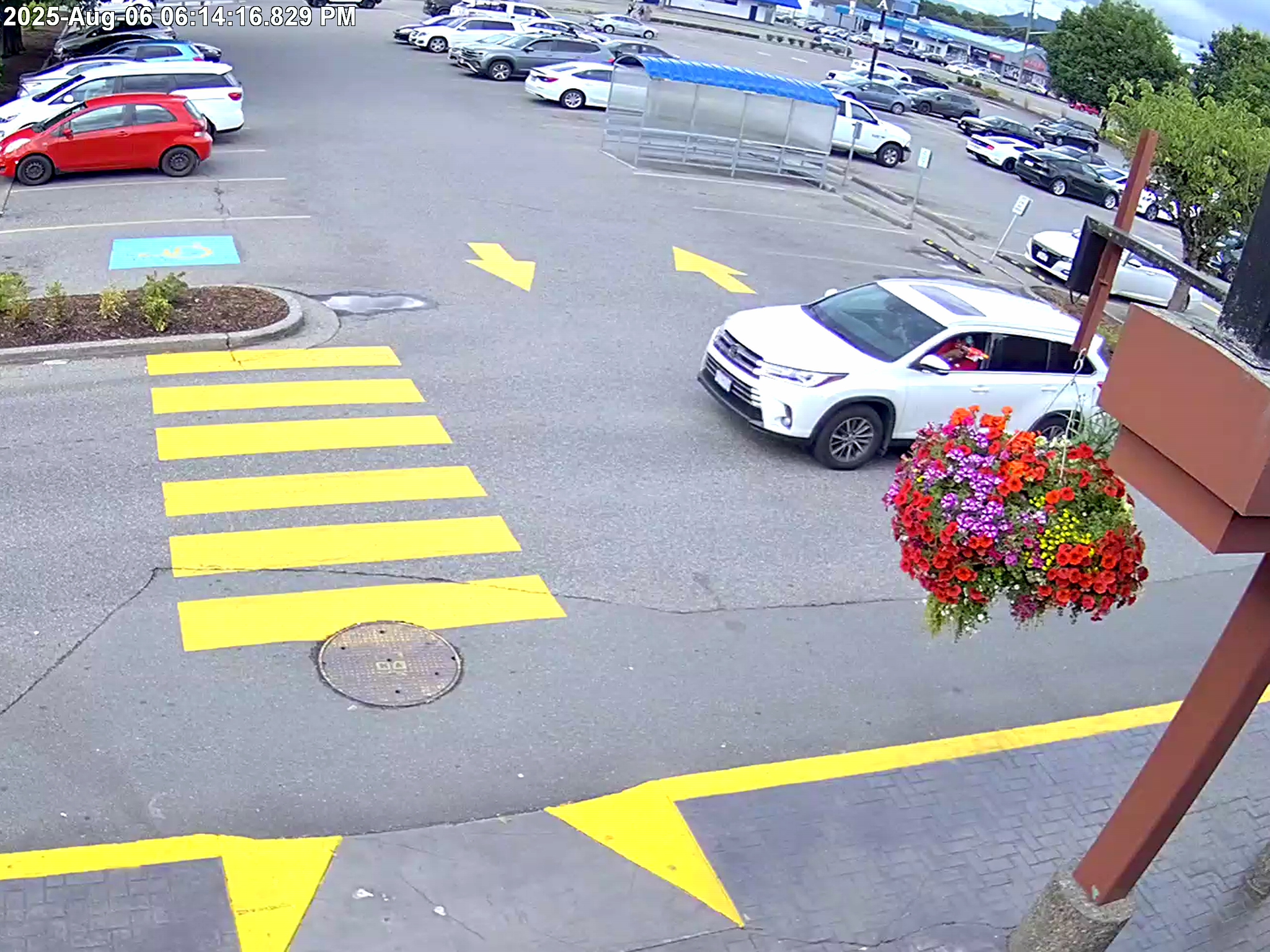 UPDATE: 17-year-old arrested after Abbotsford pedestrians allegedly shot at with pellet/airsoft guns